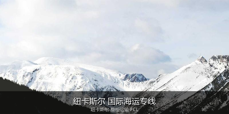 澳大利亚海运清关流程与合规注意事项